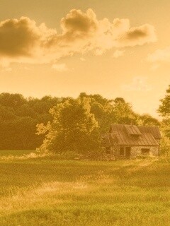 Домик в лесу обои