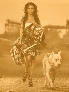 Девушка с питбулем обои