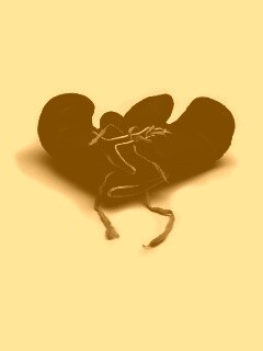 Боксерские перчатки обои