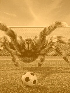 Вратарь обои