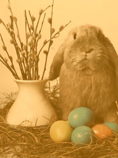 Пасхальный кролик обои