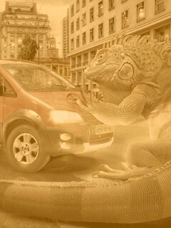 Ящерица в городе обои