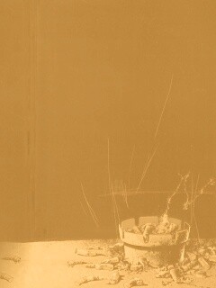 Пепельница обои