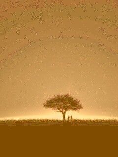 Звёздная ночь обои