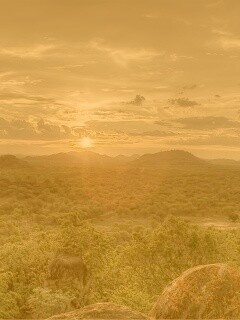 Закат в Африке обои