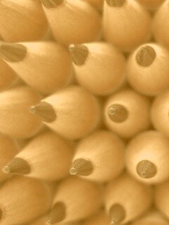 Чёрные карандаши обои