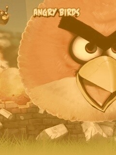 Angry Birds обои