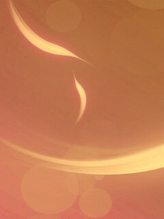 Лепестки света обои