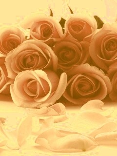 Букет роз обои