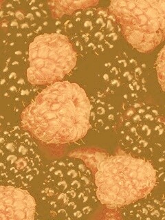 Малина и ежевика обои