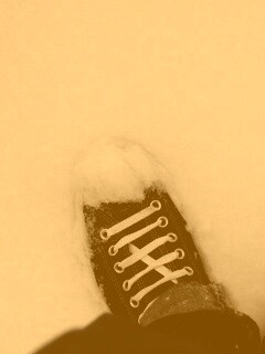 Дурак зимой в кедах обои