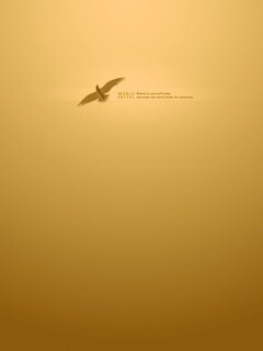 Поверь в себя сегодня обои