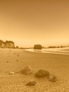 Океанский берег обои