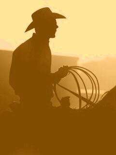 Ковбой с лассо на коне обои