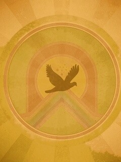 Голубь мира обои