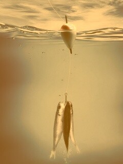 На крючке обои