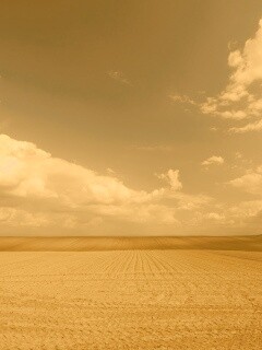 Незасеянное поле обои