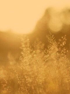 Посмотри на этот мир обои