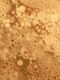 Реакция Вассермана в фиолетовых тонах обои