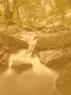 Речной поток в лесу обои