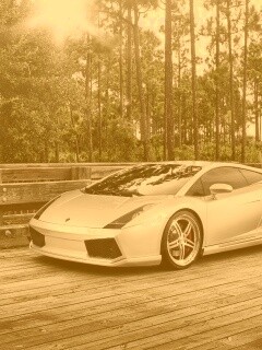 Ламбоджини на мосту в лесу обои