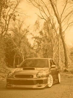 Субару Импреза на лесной дороге обои