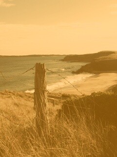 Пляж на озере обои