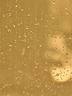 Капли нас етке обои