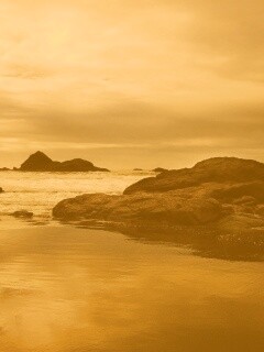 Золотое побережье обои