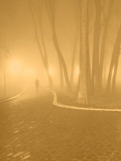 Пустынный лабиринт парковых дорожек обои