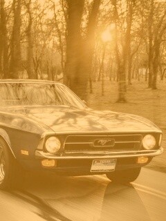 Мустанг обои