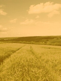 Бескрайние просторы обои