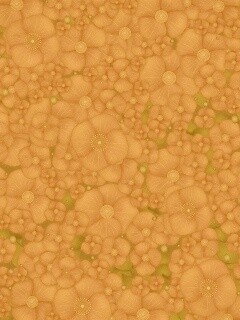 Рисунко с красными цветами обои