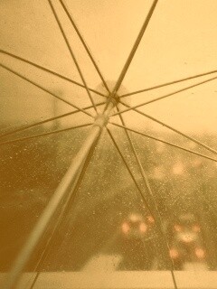 Вид сквозь прозрачный зонтик обои