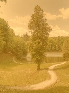 Прекрасная природа обои