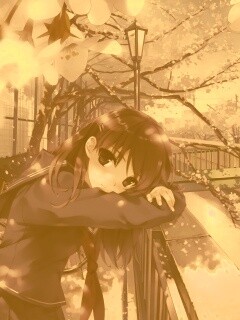 Девушка среди лепестков сакуры обои