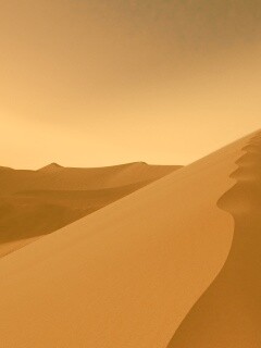 Люны в Намибии обои