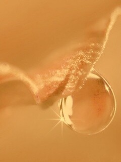 Макро капля на лепестке обои