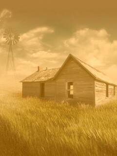Домик в поле обои