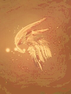 Абстрактные перья обои