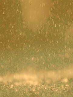 Макро фото дождя обои