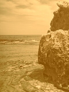 Коралловый риф обои