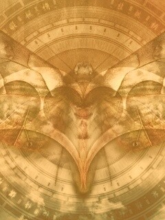 Красивая фэнтезийная бабочка обои