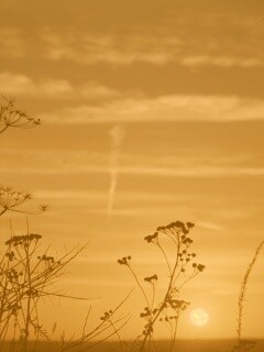 Степной закат обои