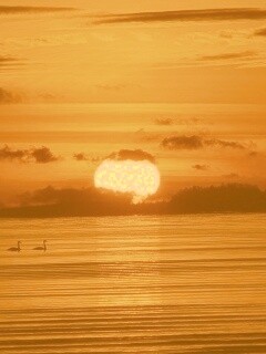 Великолепный рассвет обои