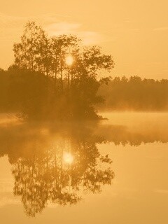 Туманное утро обои