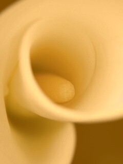 Спираль обои