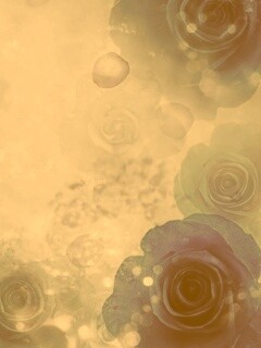 Синие розы обои