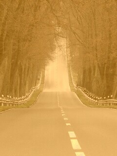 Дорога уходит ввысь обои