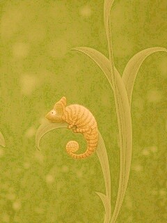 Хамелеон замаскированный под улитку обои